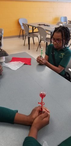 Chemical Reactions: Hands-on activities support critical thinking.